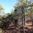 봉서농장 이미지