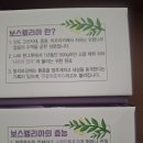 관절영양제 ( 완료 ) 이미지