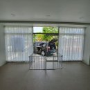 견묘양처 이미지