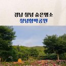 일리새긴길 이미지