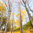 김해봉황동유적관광안내소 이미지