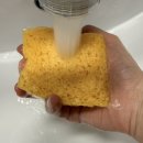 드라이세상 | 스폰텍스 드라이 셀룰로스 스펀지 2 트레디션 수세미 내돈내산 후기