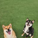 에이앤디 (A.N.D) 이미지