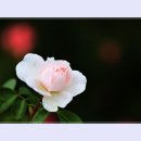 곡성-078 티스토리