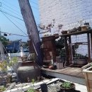 블루비치민박 이미지