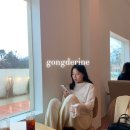 [공드린] ally 앨리 플리츠 니트 팬츠 / 임산부 가능 팬츠 추천
