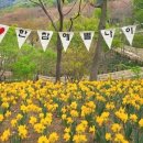 #진주 금산 월아산 "숲속의 진주" 이미지