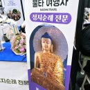 불타여행사 이미지