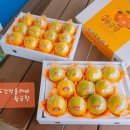 강정올레농수산