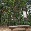 금곡초교-1구간 이미지