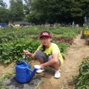 현영농장 이미지