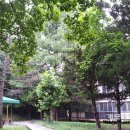 개포3-106 이미지