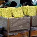 김포한탄강 이미지