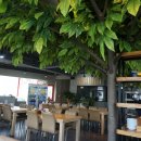 막뽑은국수 바로빚은손만두 이미지