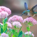 우리들행정사무소 이미지