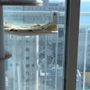 해운대 경보이리스오션 | 🏢 부산 해운대 경보 이리스 오션 거실 외창 유리 교체 시공