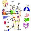 수 족 구 병 이미지