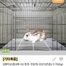 신영재동물병원 이미지