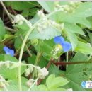 진달래아파트(107동) 이미지