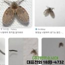 (주)방역수사대