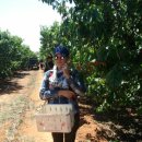 거암농장 이미지