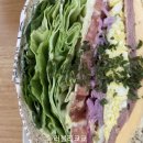 샌디와샐리와밥아저씨 이미지