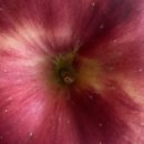 세현농장 이미지