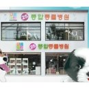 25시종합동물병원 이미지