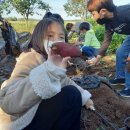 달밭농장 이미지