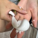 봉곡서원 | 개강이었다..