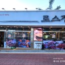 로스정 이미지