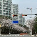 아이디어안경동탄점 | 시계 바늘아 잠깐 멈춰봐 (with 2026 불교 박람회, 자라에서 또 뭐샀게)