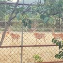 햇살농장 태양광 이미지