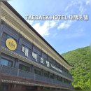 고고패밀리 | 강원도여행 아이와 함께 가족숙소 태백호텔 프리미엄 패밀리 수영장 조식 후기