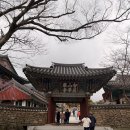 노고단기획 | [로컬 기획자 노트] 뻔한 화엄사는 그만! 노거수가 들려주는 구례 로컬 여행 '수요일엔 걷수다'(