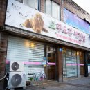 도꾸애견 이미지