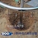 대구유천초등학교 이미지