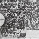 태림미디어