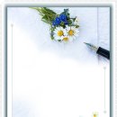 들꽃편지 이미지