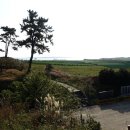 제주 셋알오름 일제 고사포진지 이미지