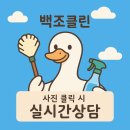 백조클린