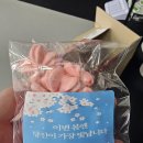 빛나리 태권도장 | 실전태권도, 유아/초등,중,고등학생, 성인운동, 실전태권도, 유아체육,어린이]봄맞이 이벤트 후기 🌸