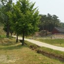 성삼문 선생 유허지 이미지