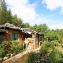 평창들꽃 이미지