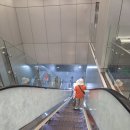 (유)삼우교통 | 1) - 라오지앙홍차뉴나이 / UG티 / Local Train / 삼우우육면 / 용호탑 / 가오슝 버스 타는 법 / Duck Zhen