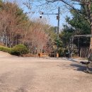 용마도시자연공원 이미지