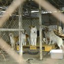 마리농장 이미지