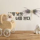 1월펜션 이미지