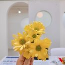 아트리미술교습소 이미지