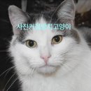 성우하이